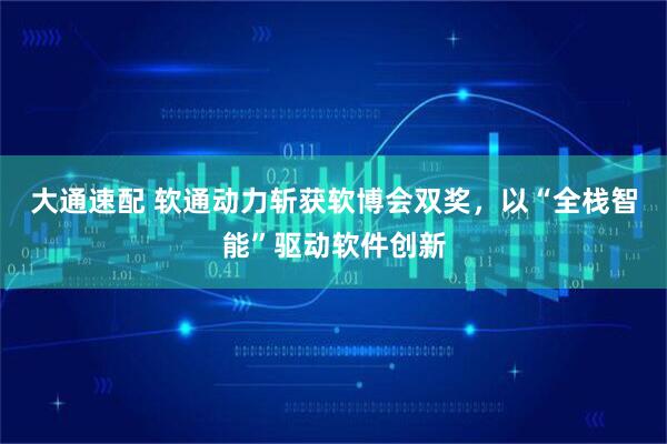 大通速配 软通动力斩获软博会双奖，以“全栈智能”驱动软件创新