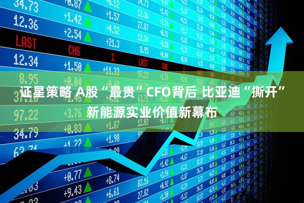 证星策略 A股“最贵”CFO背后 比亚迪“撕开”新能源实业价值新幕布