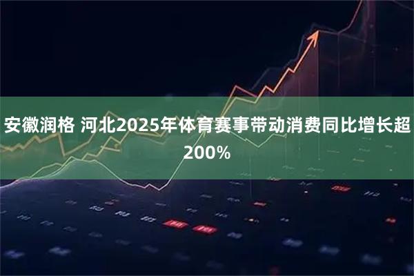 安徽润格 河北2025年体育赛事带动消费同比增长超200%