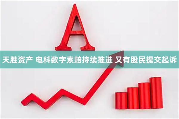 天胜资产 电科数字索赔持续推进 又有股民提交起诉