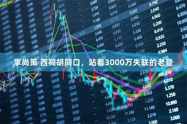 掌尚策 西祠胡同口，站着3000万失联的老登